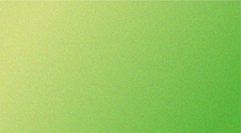 annual report shapes-17